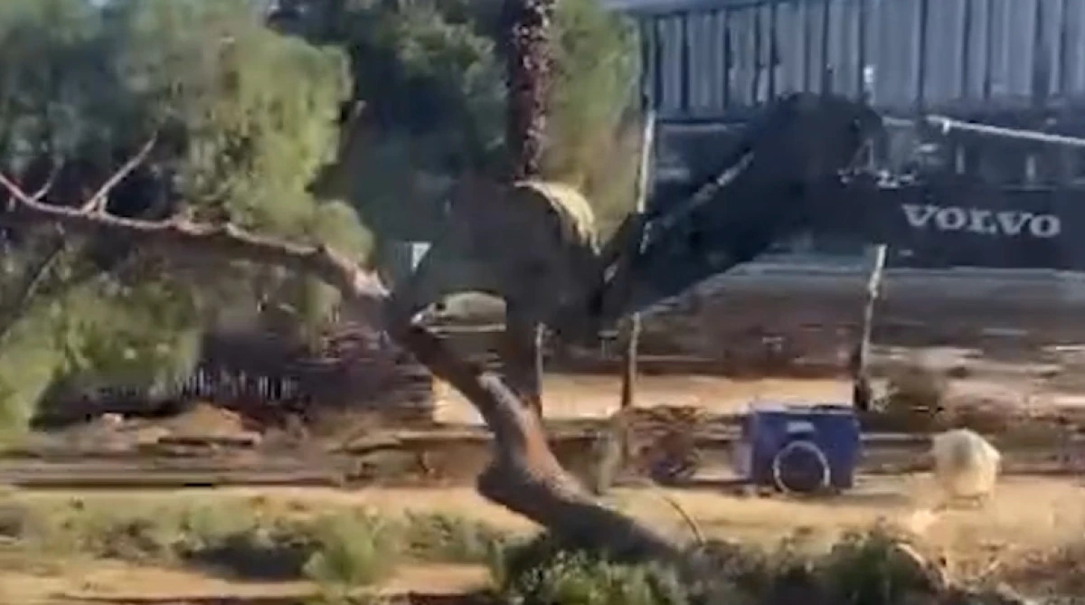 YENİ D&Ouml;RTYOL&rsquo;DA AĞA&Ccedil; KATLİAMI